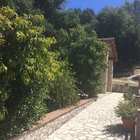 Belvedere Cramaccioli Vigne Exterior foto