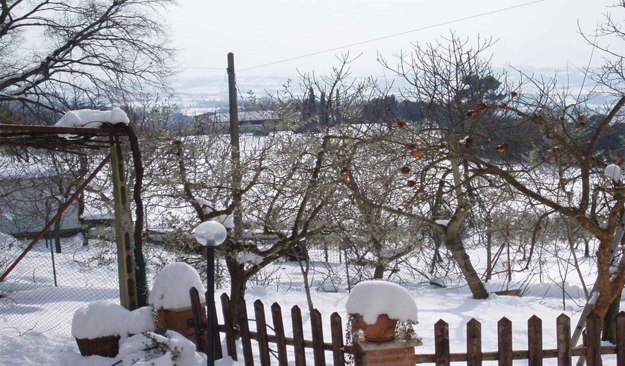Belvedere Cramaccioli Vigne Exterior foto